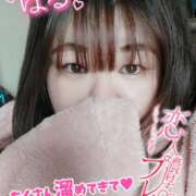 ヒメ日記 2024/12/27 13:19 投稿 はる 甘熟クラブ