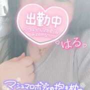 ヒメ日記 2025/01/19 14:42 投稿 はる 甘熟クラブ