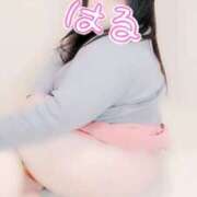 ヒメ日記 2025/03/31 13:15 投稿 はる 甘熟クラブ