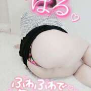 ヒメ日記 2025/04/14 13:12 投稿 はる 甘熟クラブ