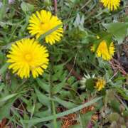 ヒメ日記 2025/04/15 12:53 投稿 はる 甘熟クラブ