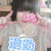 ヒメ日記 2025/04/25 00:57 投稿 はる 甘熟クラブ