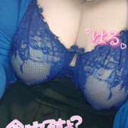 ヒメ日記 2025/04/26 19:22 投稿 はる 甘熟クラブ