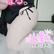 ヒメ日記 2025/04/28 17:15 投稿 はる 甘熟クラブ