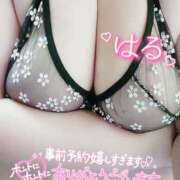 ヒメ日記 2025/04/29 11:51 投稿 はる 甘熟クラブ