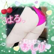 ヒメ日記 2025/05/03 13:16 投稿 はる 甘熟クラブ