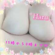 ヒメ日記 2025/05/05 11:44 投稿 はる 甘熟クラブ