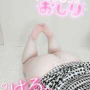 ヒメ日記 2025/05/15 14:46 投稿 はる 甘熟クラブ