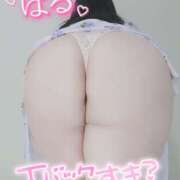 ヒメ日記 2025/05/25 13:00 投稿 はる 甘熟クラブ