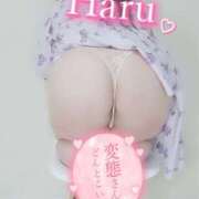 ヒメ日記 2025/05/29 12:50 投稿 はる 甘熟クラブ