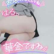 ヒメ日記 2025/06/14 00:04 投稿 はる 甘熟クラブ