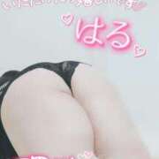 ヒメ日記 2025/06/15 13:02 投稿 はる 甘熟クラブ