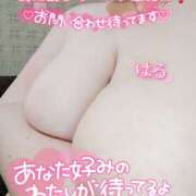 ヒメ日記 2025/06/23 10:04 投稿 はる 甘熟クラブ