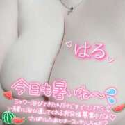 ヒメ日記 2025/06/26 12:50 投稿 はる 甘熟クラブ