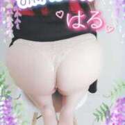 ヒメ日記 2025/07/05 22:04 投稿 はる 甘熟クラブ