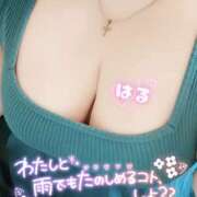 ヒメ日記 2025/07/14 12:53 投稿 はる 甘熟クラブ