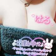 ヒメ日記 2025/08/07 16:17 投稿 はる 甘熟クラブ