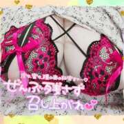 ヒメ日記 2025/08/28 13:23 投稿 はる 甘熟クラブ