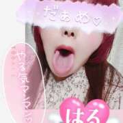 ヒメ日記 2025/08/29 13:00 投稿 はる 甘熟クラブ