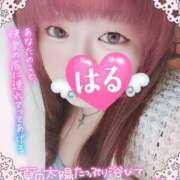 ヒメ日記 2025/09/02 14:12 投稿 はる 甘熟クラブ