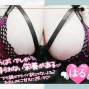 ヒメ日記 2025/09/03 23:03 投稿 はる 甘熟クラブ