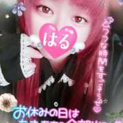 ヒメ日記 2025/11/02 20:32 投稿 はる 甘熟クラブ