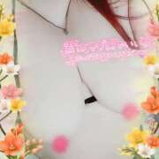 ヒメ日記 2025/11/16 18:36 投稿 はる 甘熟クラブ