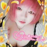 ヒメ日記 2025/12/17 13:41 投稿 はる 甘熟クラブ