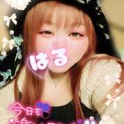 ヒメ日記 2026/01/31 13:59 投稿 はる 甘熟クラブ