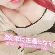 ヒメ日記 2026/02/06 15:00 投稿 はる 甘熟クラブ