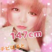 ヒメ日記 2026/02/11 13:00 投稿 はる 甘熟クラブ