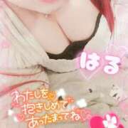 ヒメ日記 2026/02/12 20:39 投稿 はる 甘熟クラブ