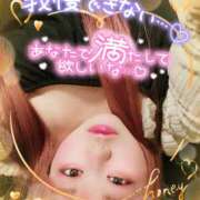 ヒメ日記 2026/02/13 19:55 投稿 はる 甘熟クラブ