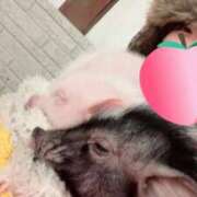 ヒメ日記 2026/01/09 00:37 投稿 みんと ごほうびSPA名古屋店