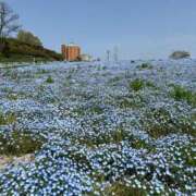 ヒメ日記 2025/04/07 09:21 投稿 らら ごほうびSPA名古屋店