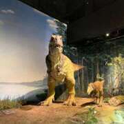 ヒメ日記 2025/05/24 12:38 投稿 らら ごほうびSPA名古屋店