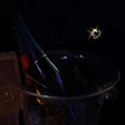 ヒメ日記 2025/03/08 00:08 投稿 あいる ビアガーデンカーニバル