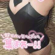 ヒメ日記 2025/01/24 08:20 投稿 みり アロー