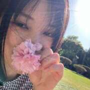 ヒメ日記 2025/06/10 03:53 投稿 さな 品川ラズベリー（シンデレラグループ）