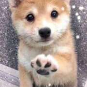 ヒメ日記 2024/12/16 18:23 投稿 きり 池袋あられ