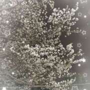 ヒメ日記 2025/04/07 20:35 投稿 きり 池袋あられ