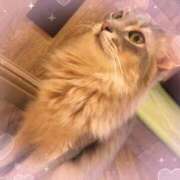 ヒメ日記 2025/02/28 20:20 投稿 ちゅう 池袋あられ