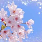 ちゅう こんばんはちゅうです！🐹 池袋あられ