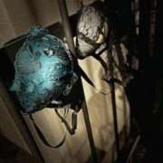 ヒメ日記 2025/11/17 13:45 投稿 らら 中洲秘密倶楽部