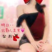 ヒメ日記 2024/12/05 12:17 投稿 なお SUZUME