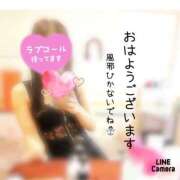 ヒメ日記 2024/12/06 09:30 投稿 なお SUZUME