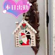 ヒメ日記 2024/12/19 09:30 投稿 なお SUZUME