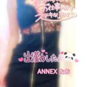 ヒメ日記 2024/12/30 09:30 投稿 なお SUZUME