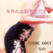 ヒメ日記 2025/01/05 12:01 投稿 なお SUZUME