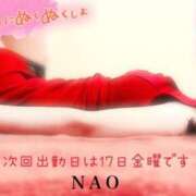 ヒメ日記 2025/01/13 16:51 投稿 なお SUZUME